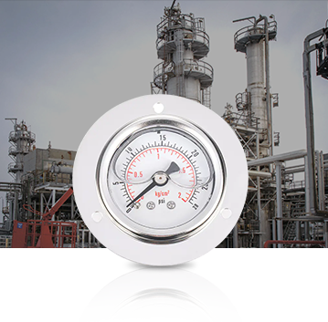 Нафтохімічна промисловість Pressure Gauges